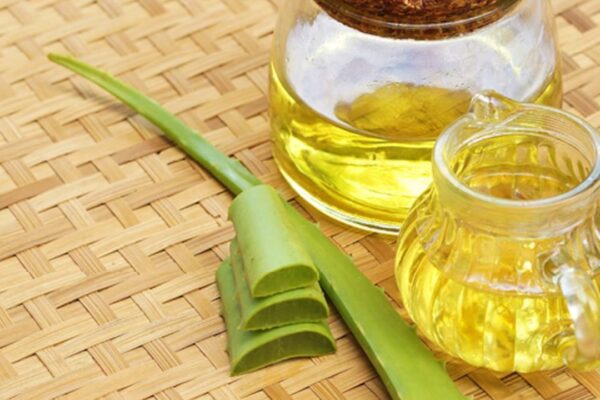 Discover the Wonders of Aloe Vera Oil: From Origins to Benefits